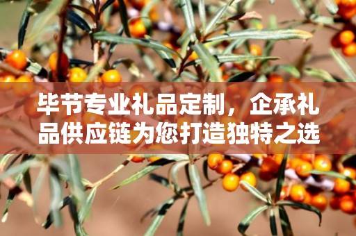 毕节专业礼品定制，企承礼品供应链为您打造独特之选